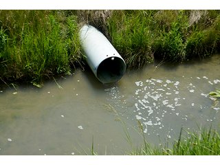 Property photo 143 - LAND AUCTION - 700+/- ACRES OFFERED IN 16 TRACTS IN ALLEN COUNTY, INDIANA